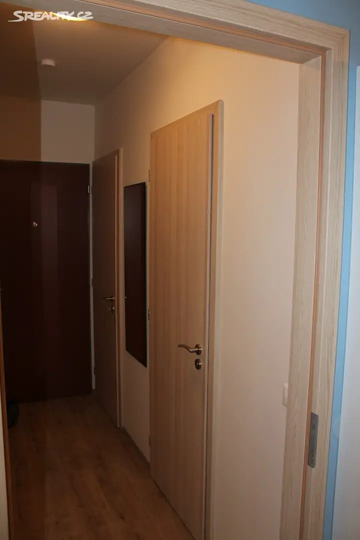 Prodej bytu 2+kk 46 m², Freyova, Praha 9 - Vysočany