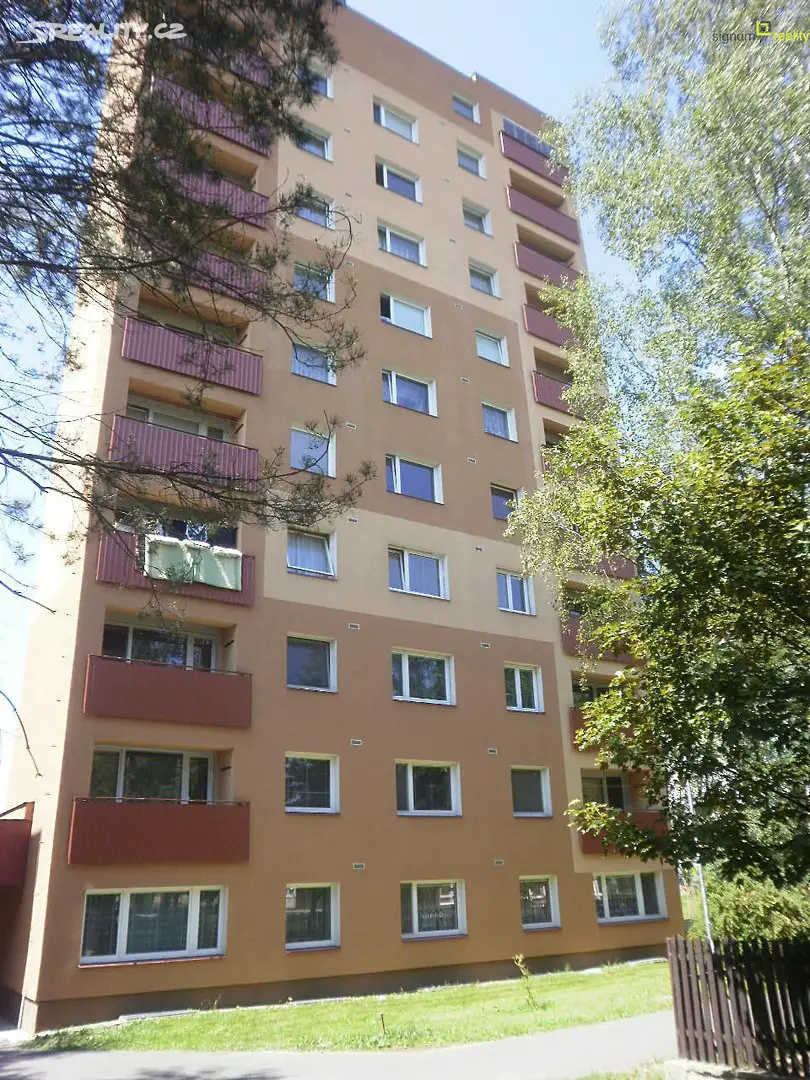 Pronájem bytu 1+1 38 m², Gregorova, Nový Jičín