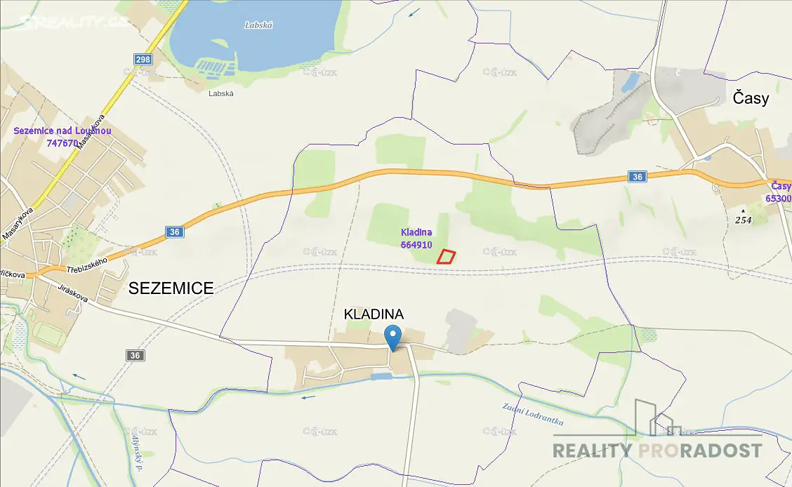 Prodej  lesa 1 427 m², Sezemice, okres Pardubice