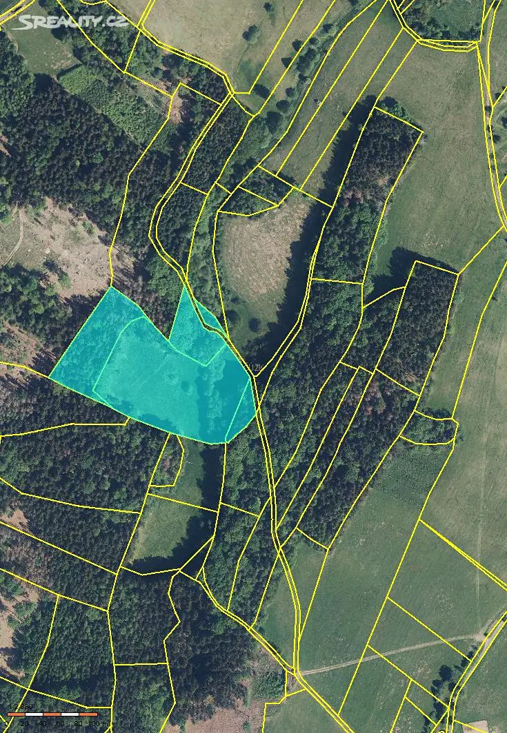Prodej  lesa 20 401 m², Třebihošť, okres Trutnov