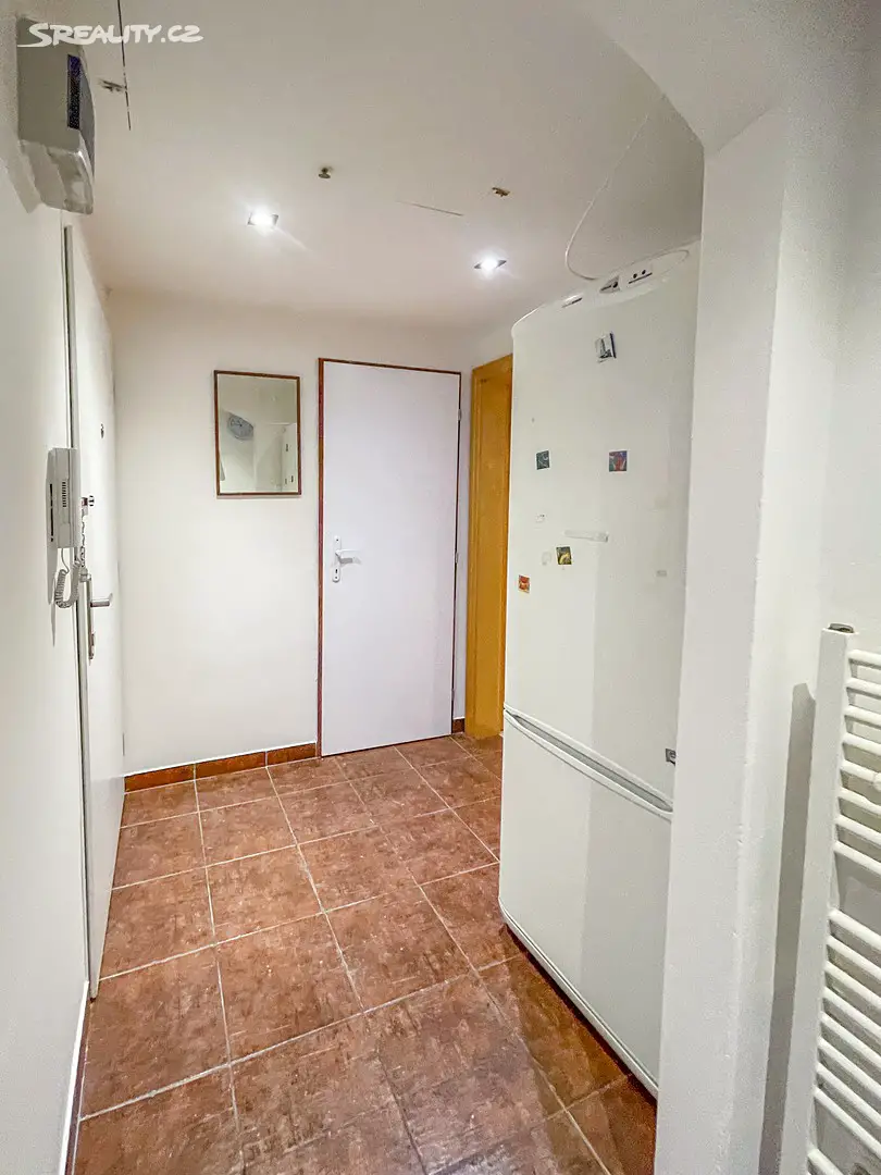 Pronájem bytu 1+kk 24 m², Biskupcova, Praha 3 - Žižkov