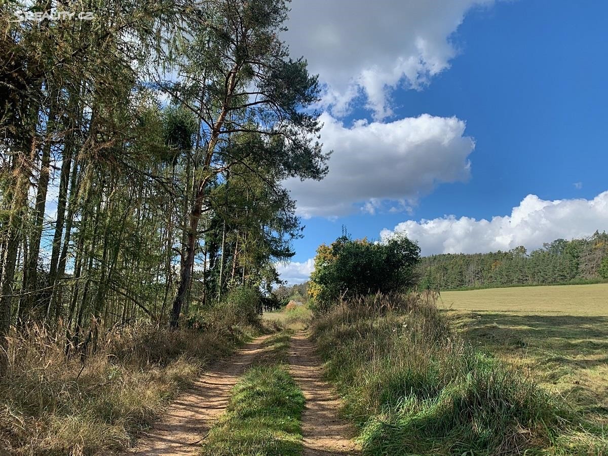 Prodej  louky 4 526 m², Županovice, okres Příbram