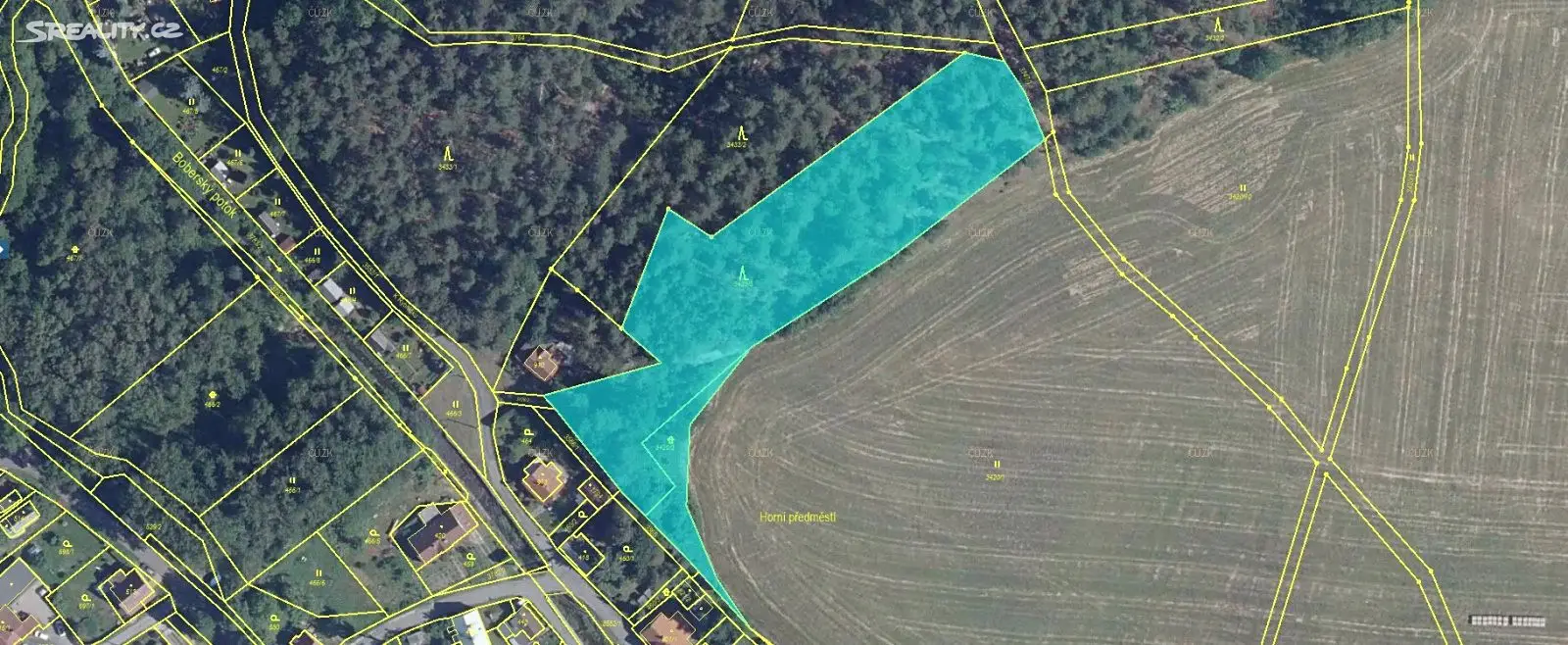 Prodej  lesa 6 808 m², Cvikov - Cvikov I, okres Česká Lípa
