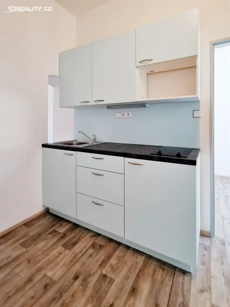 Pronájem bytu 1+1 48 m², Cyrilská, Brno - Trnitá