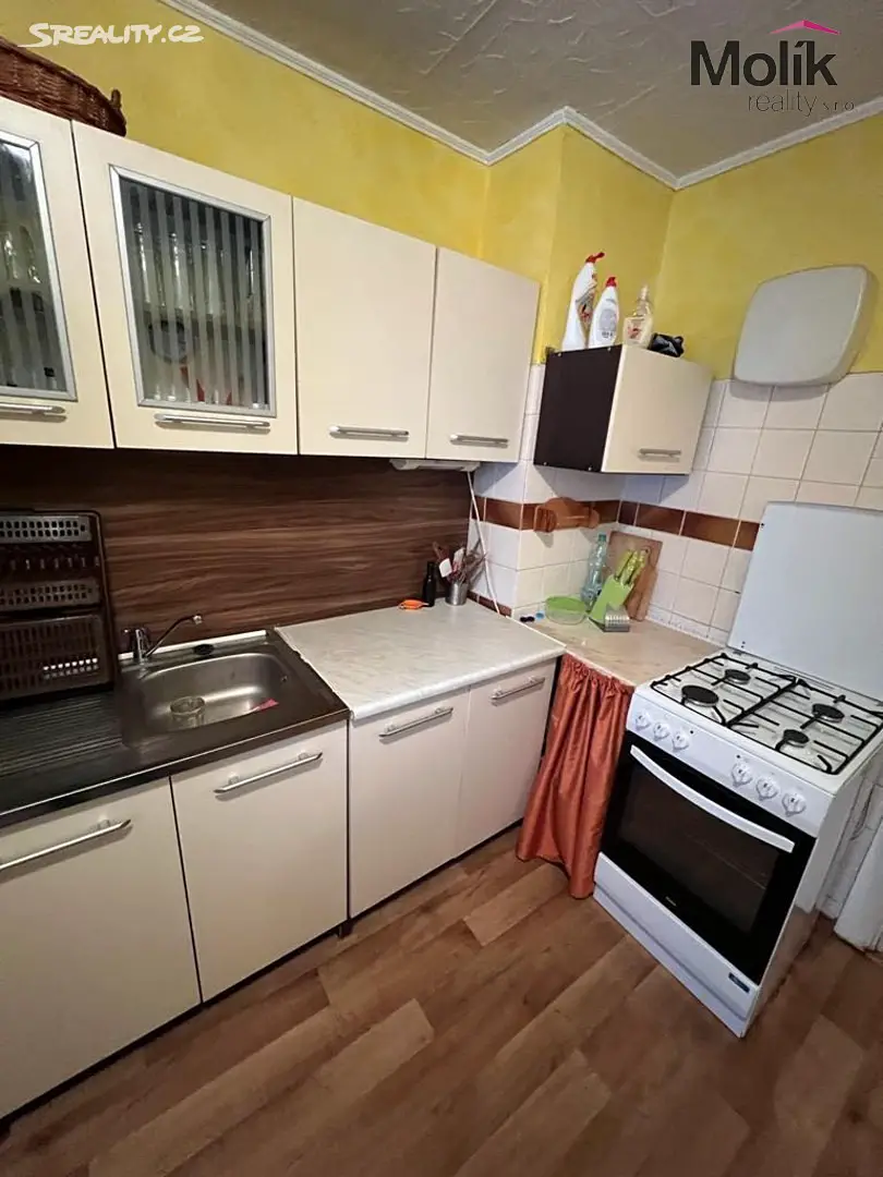 Prodej bytu 4+1 73 m², Jedličkova, Litvínov - Horní Litvínov