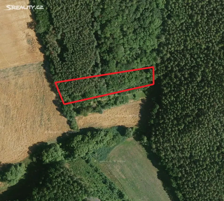 Prodej  lesa 3 309 m², Domoušice - Solopysky, okres Louny