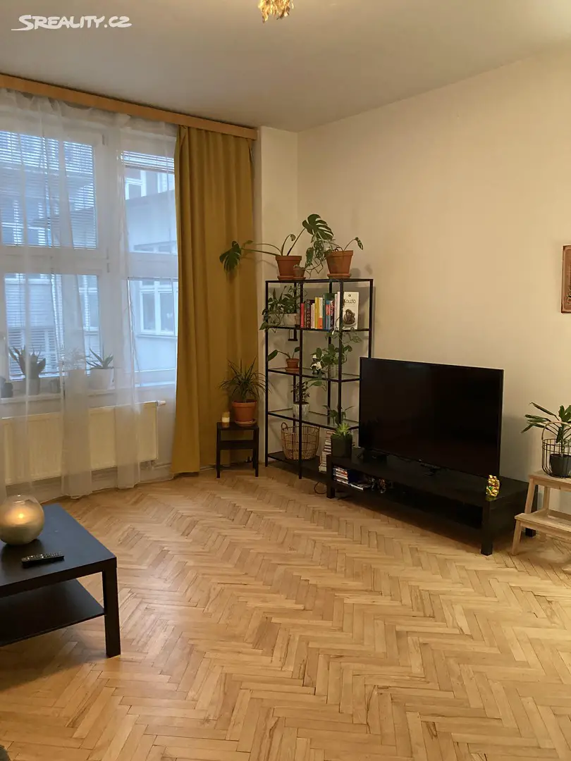 Pronájem bytu 2+1 70 m², Dolní náměstí, Olomouc