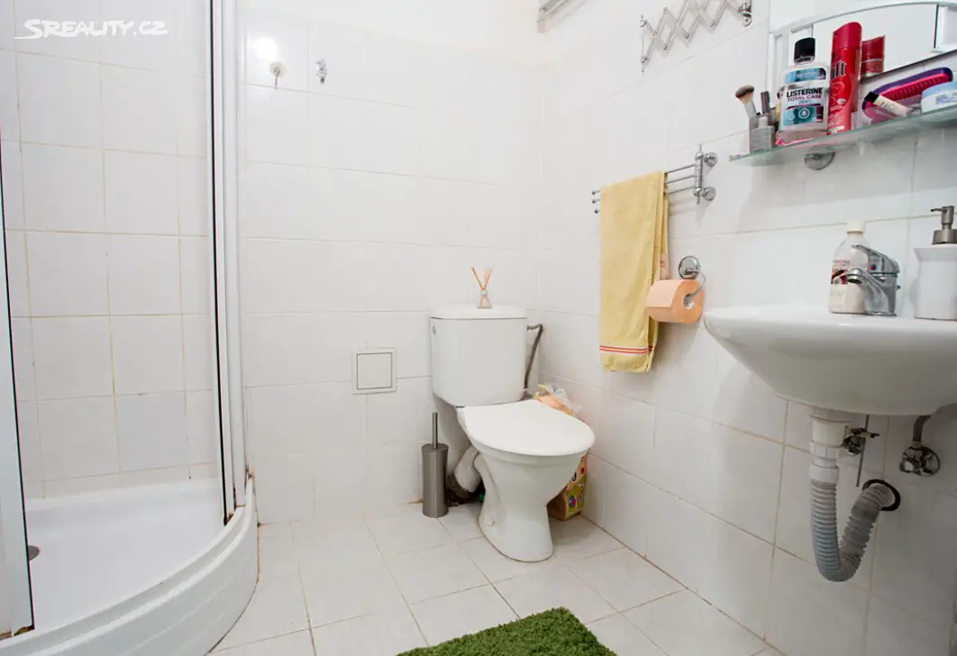 Pronájem bytu 1+kk 25 m², Fibichova, Praha 3 - Žižkov