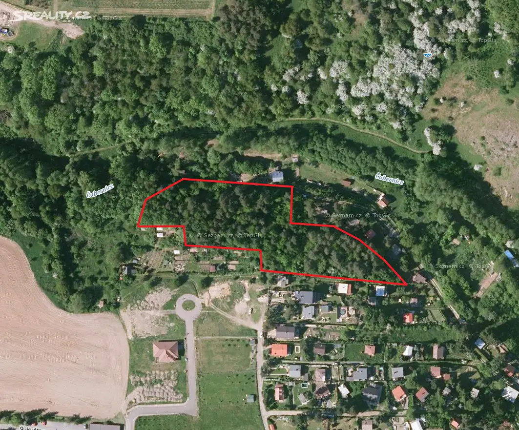 Prodej  lesa 1 106 m², Plumlov, okres Prostějov