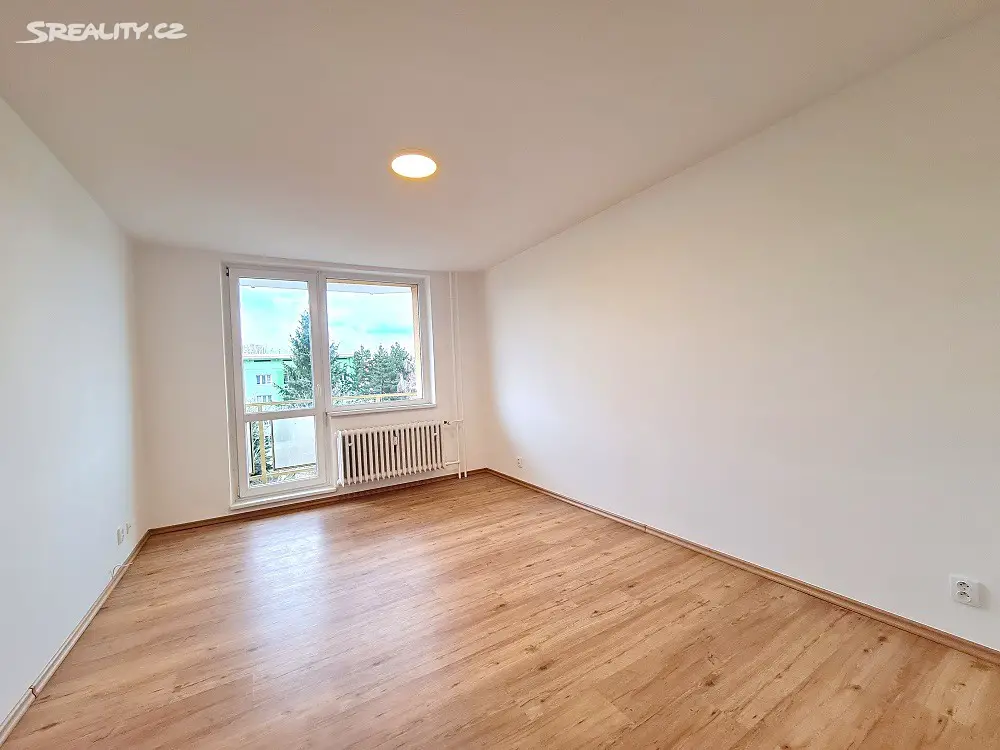 Pronájem bytu 1+1 38 m², Palackého třída, Brno