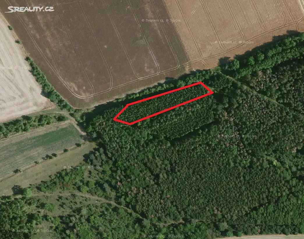 Prodej  lesa 2 395 m², Křesín - Levousy, okres Litoměřice