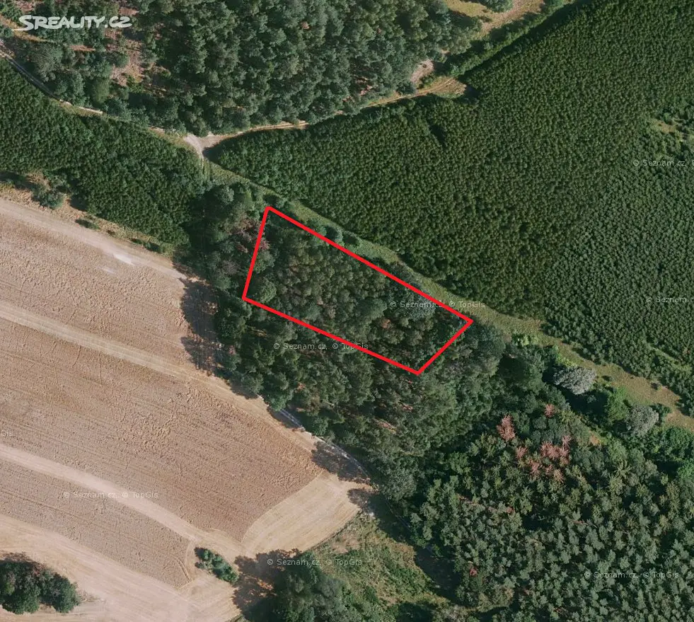 Prodej  lesa 1 975 m², Tuhaň - Domašice, okres Česká Lípa
