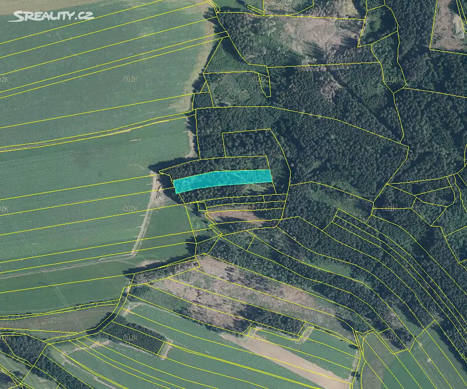 Prodej  lesa 1 370 m², Cetoraz, okres Pelhřimov