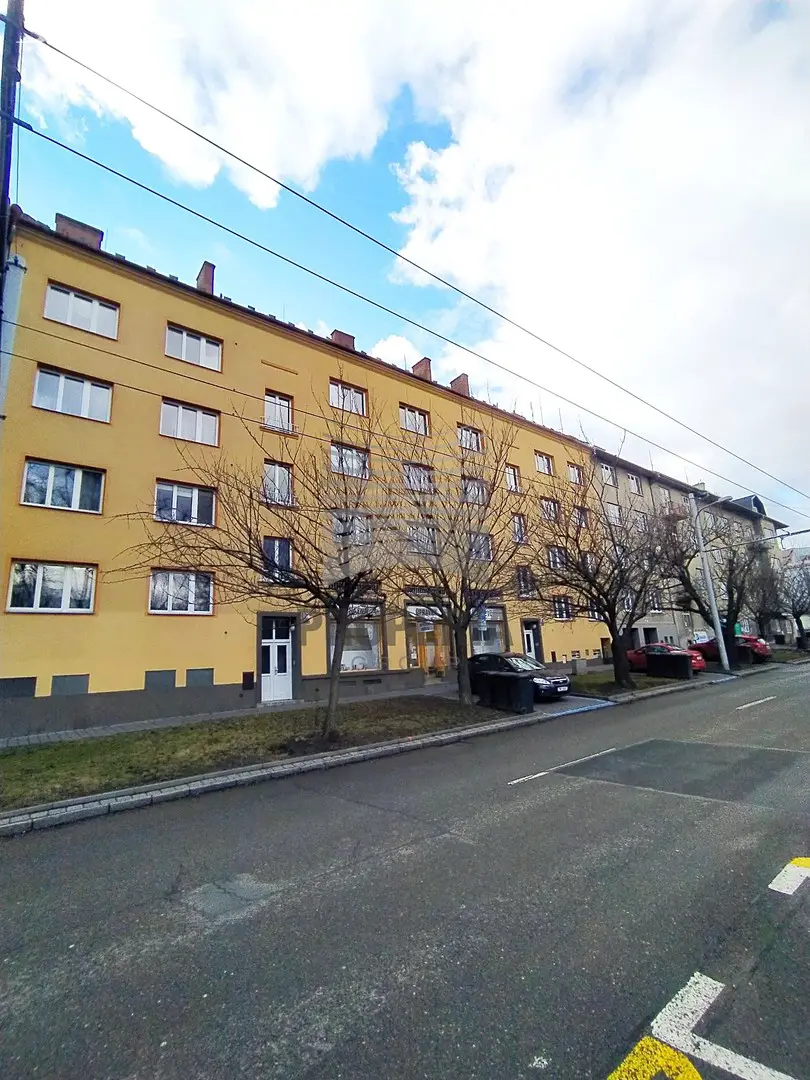 Pronájem bytu 1+1 44 m², Srbská, Brno - Královo Pole