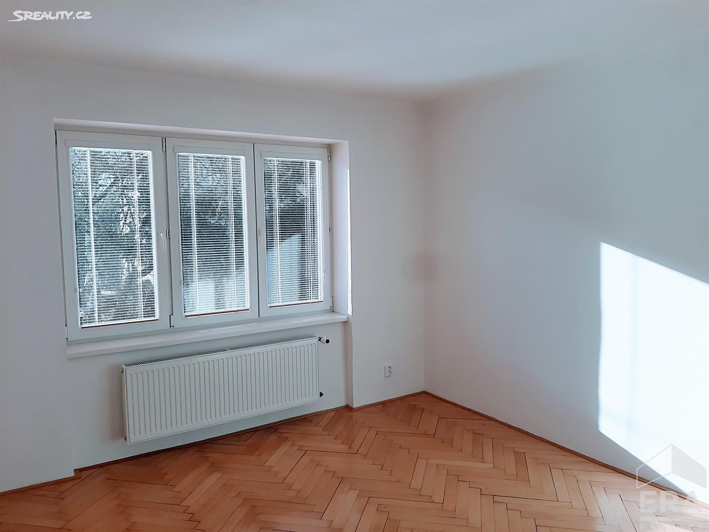 Pronájem bytu 2+1 56 m², Ivana Olbrachta, Ústí nad Labem - Ústí nad Labem-centrum
