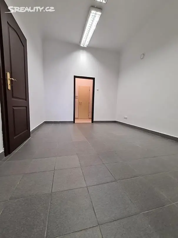 Pronájem bytu 3+1 103 m², nám. Přemysla Otakara II., České Budějovice - České Budějovice 1
