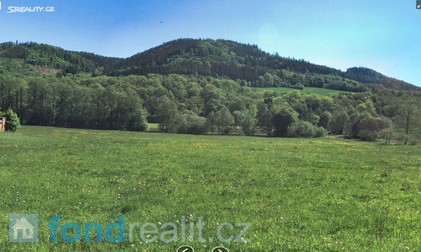 Prodej  pozemku 6 547 m², Červená Voda, okres Ústí nad Orlicí