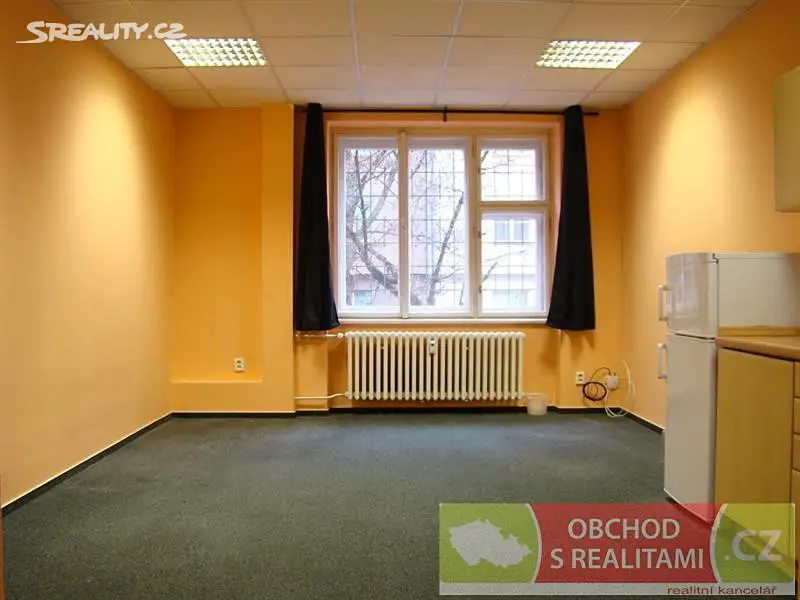 Pronájem bytu 1+kk 31 m², Biskupcova, Praha 3 - Žižkov