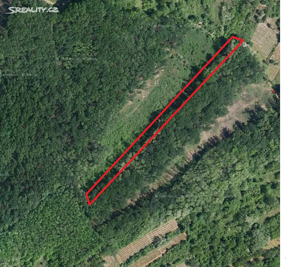 Prodej  lesa 1 034 m², Kobylí, okres Břeclav