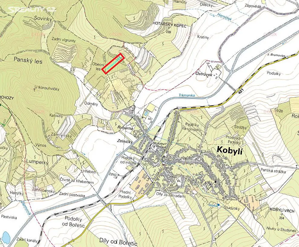 Prodej  lesa 1 034 m², Kobylí, okres Břeclav