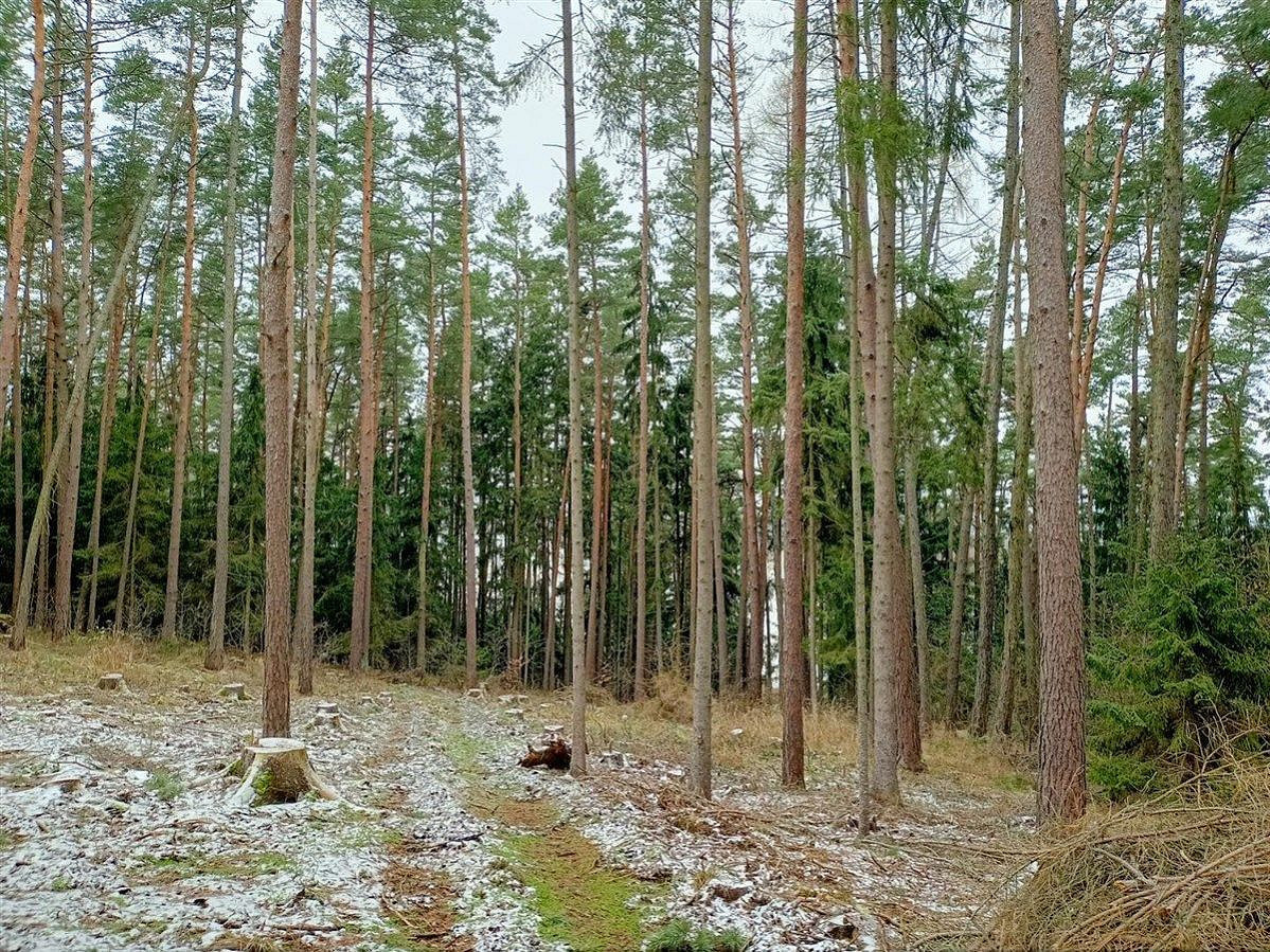 Budětice, okres Klatovy