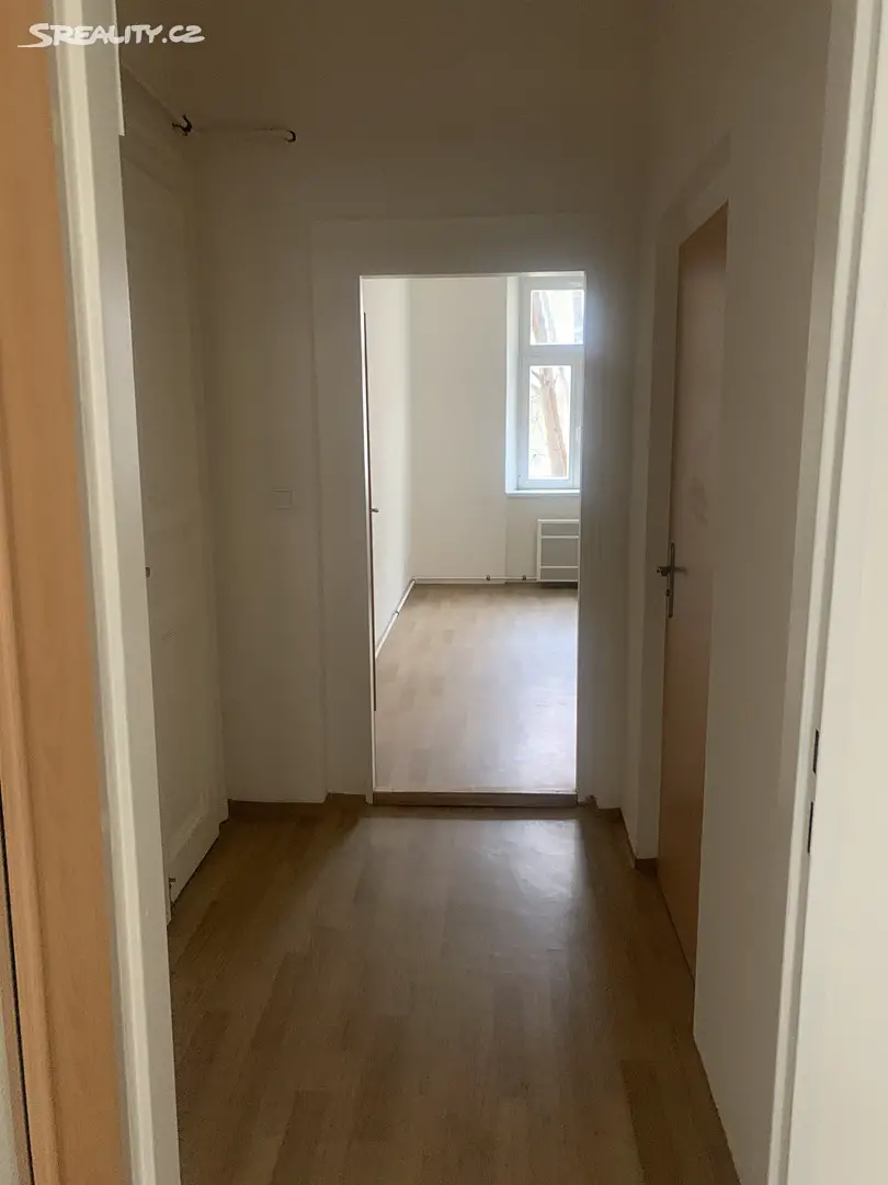 Pronájem bytu 1+1 42 m², Svatoslavova, Praha 4 - Nusle
