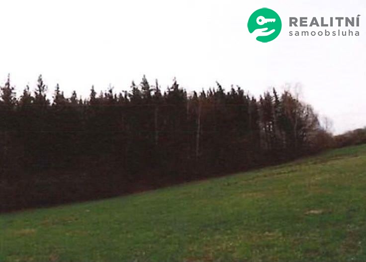Prodej  lesa 46 633 m², Řehenice - Malešín, okres Benešov