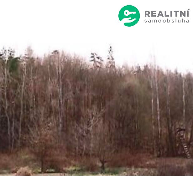 Prodej  lesa 46 633 m², Řehenice - Malešín, okres Benešov
