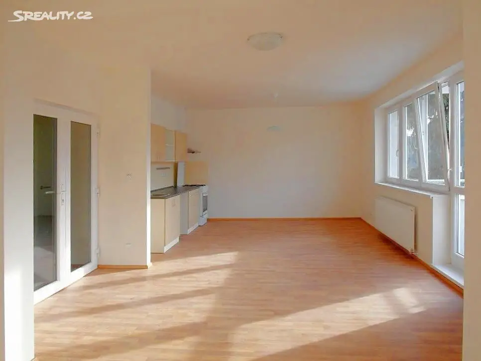 Pronájem bytu 1+kk 51 m², Rokycanova, Brno - Židenice