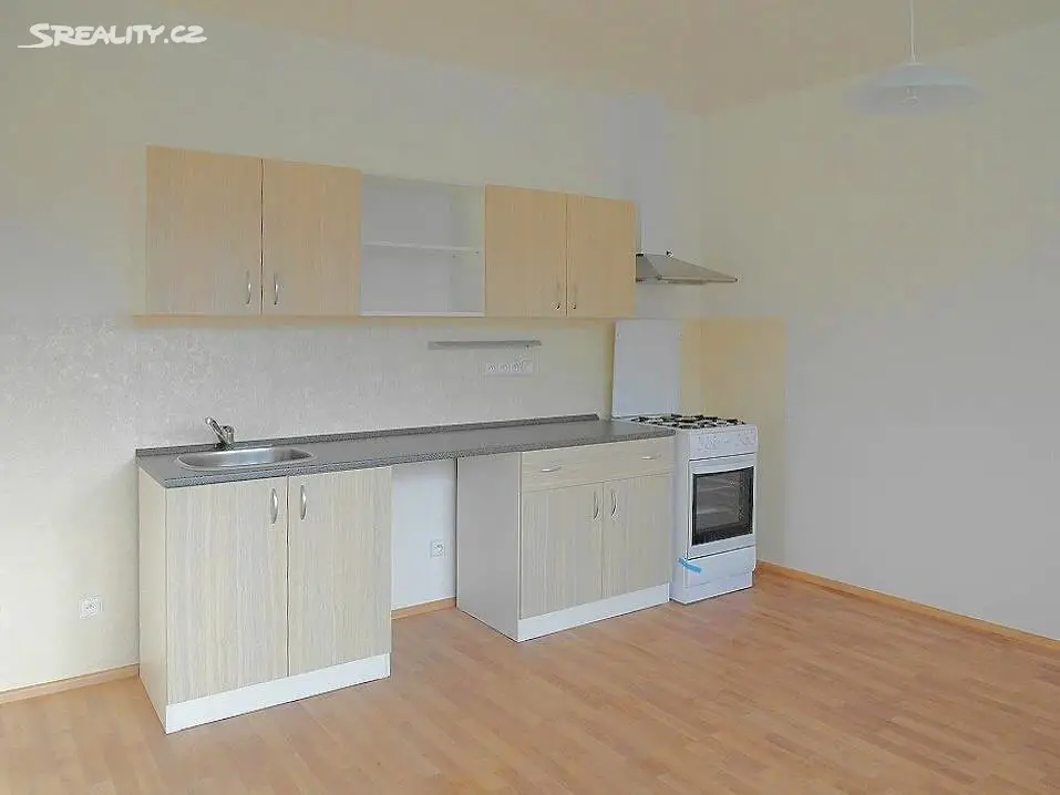 Pronájem bytu 1+kk 51 m², Rokycanova, Brno - Židenice