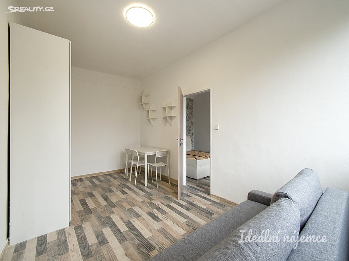 Pronájem bytu 2+1 45 m², Hollarovo náměstí, Praha 3 - Vinohrady