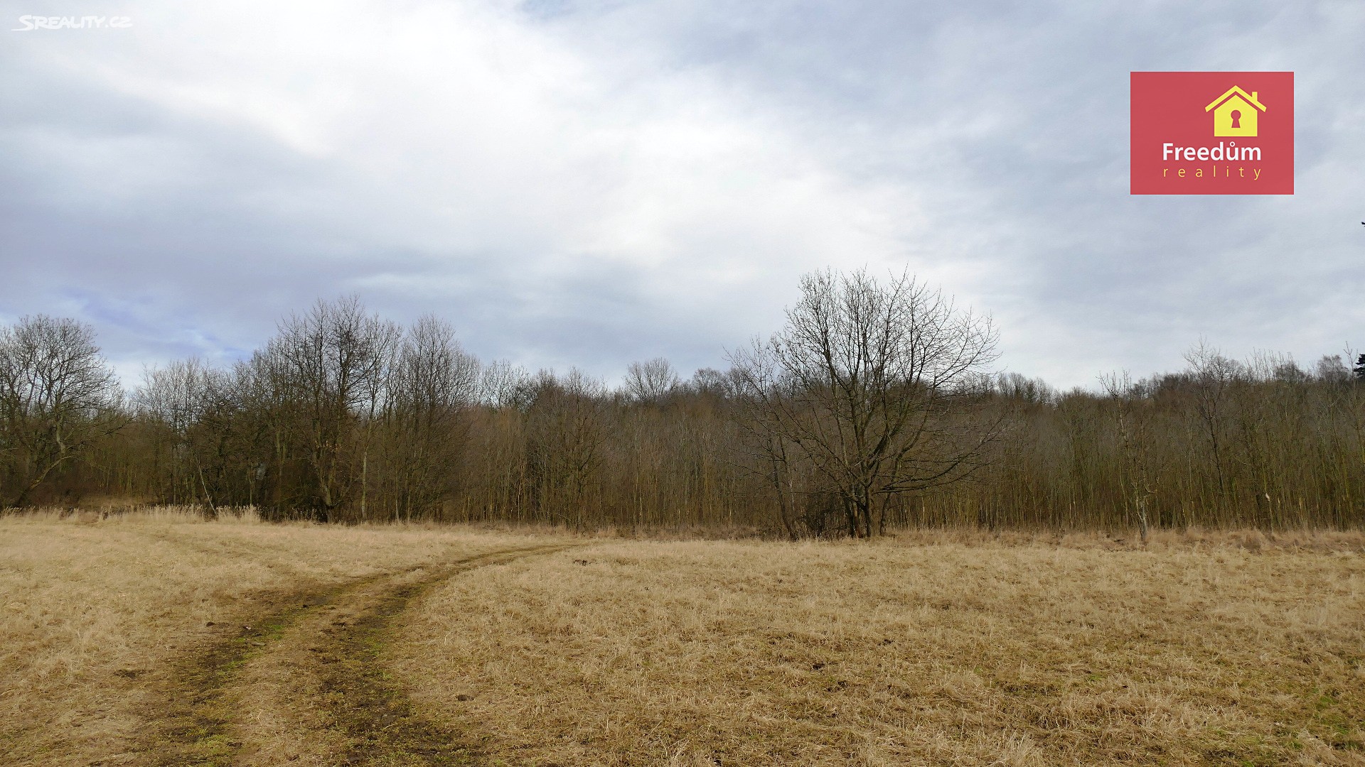 Prodej  louky 36 914 m², Velké Chvojno, okres Ústí nad Labem