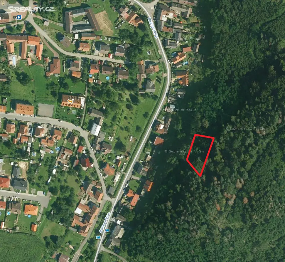 Prodej  lesa 838 m², Biskupice, okres Svitavy