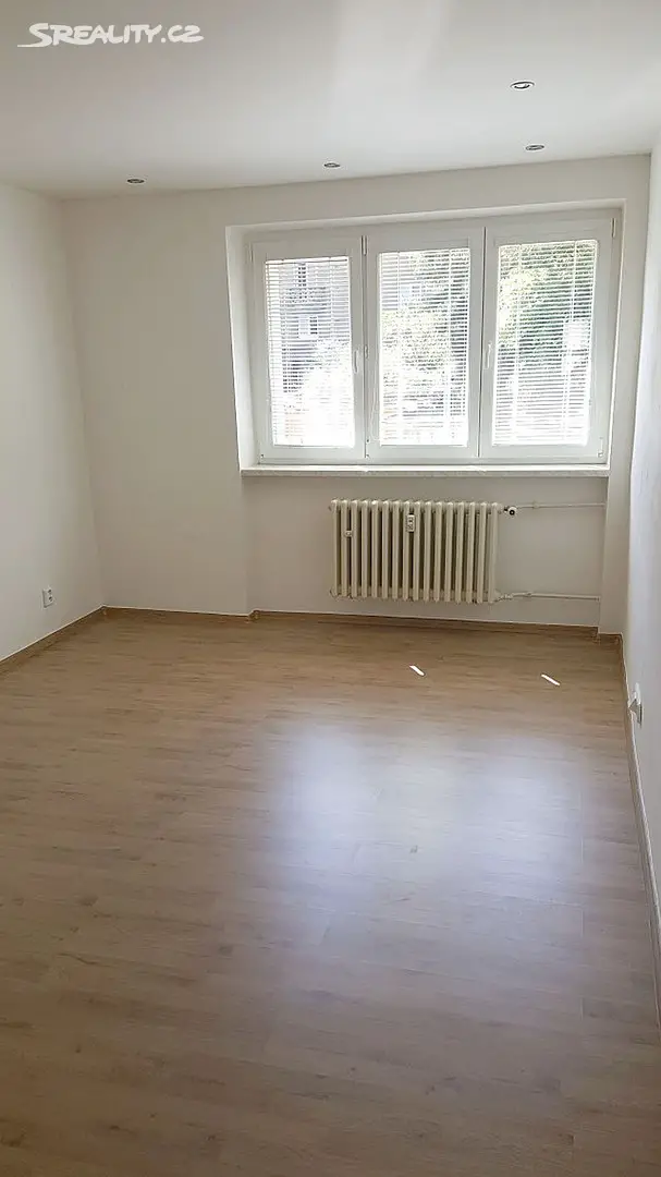 Pronájem bytu 2+1 67 m², Chválenická, Plzeň - Koterov