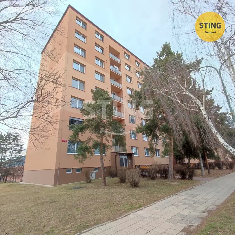 Pronájem bytu 1+1 42 m², Hutník, Veselí nad Moravou