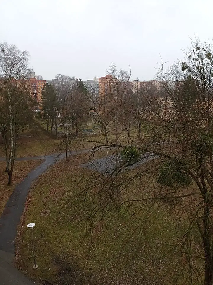 Svojsíkova, Ostrava - Poruba