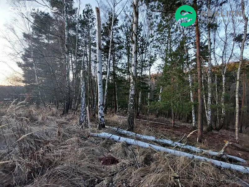 Prodej  lesa 3 615 m², Kounov, okres Rakovník