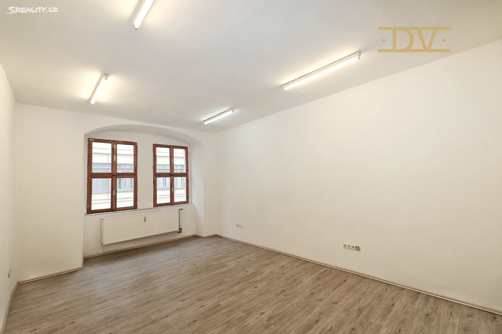 Pronájem bytu 1+1 55 m², Riegrova, Plzeň - Vnitřní Město