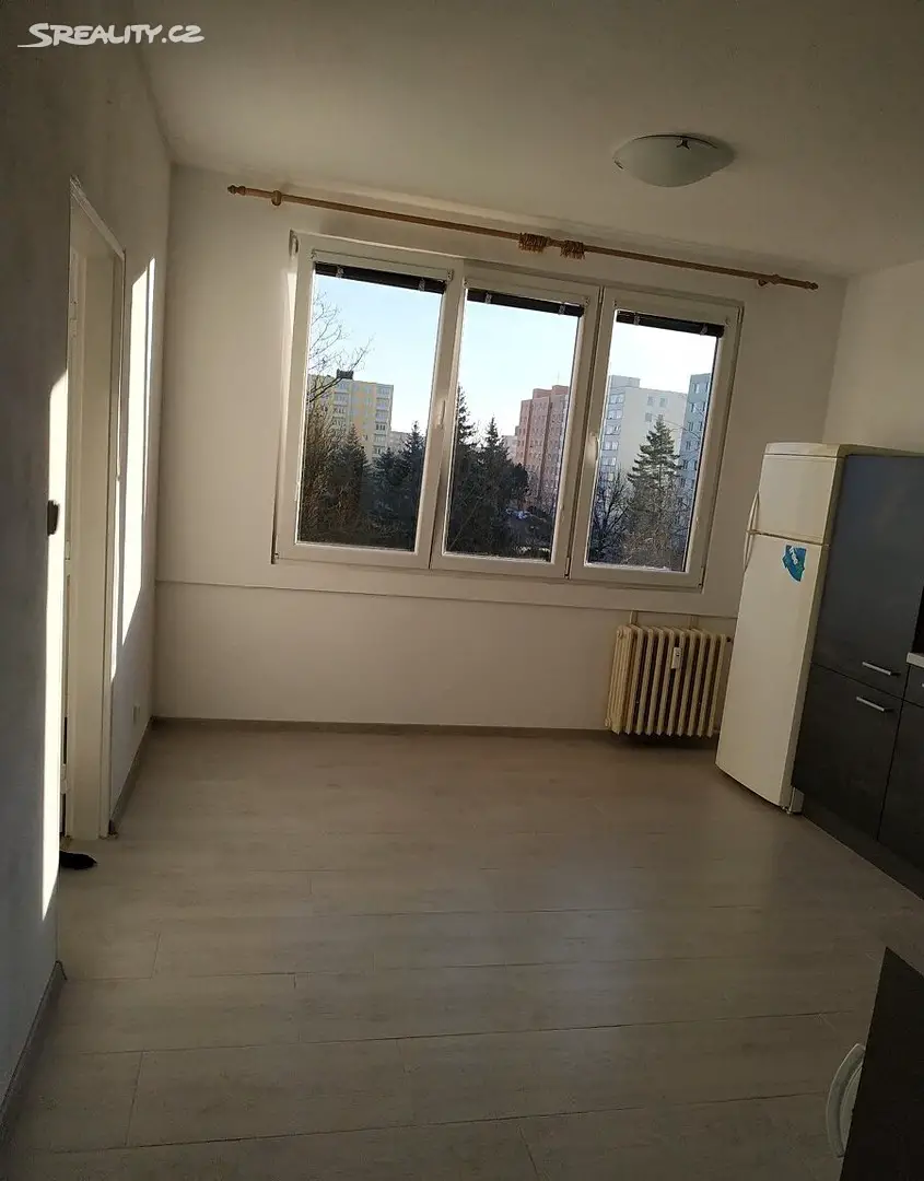 Pronájem bytu 1+1 40 m², J. Opletala, České Budějovice - České Budějovice 2