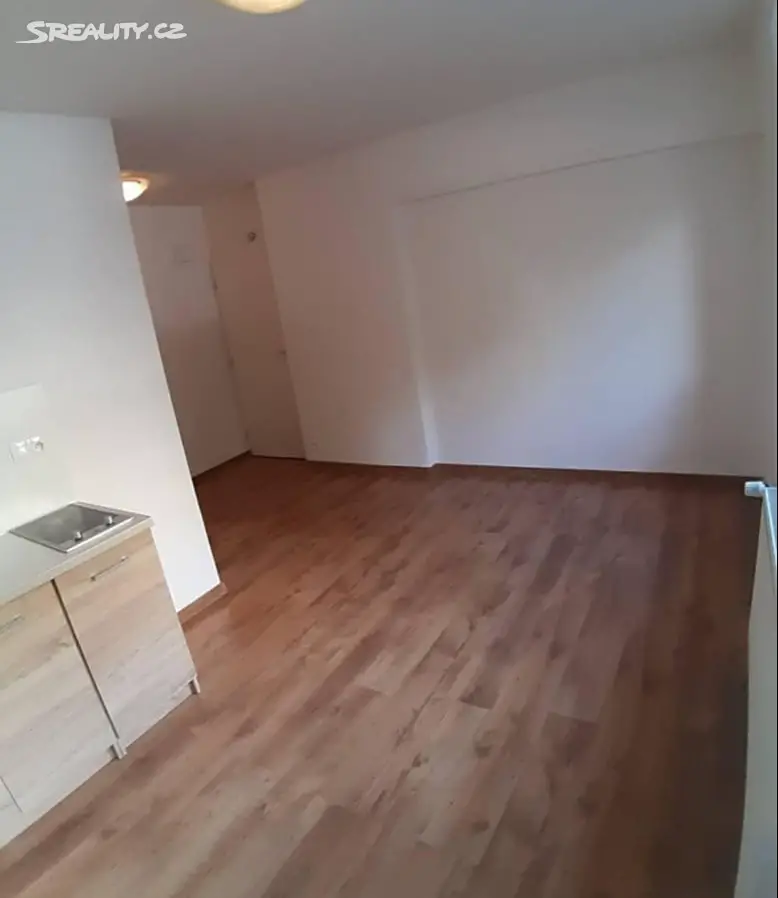 Pronájem bytu 1+kk 26 m², K lipám, Praha - Střížkov
