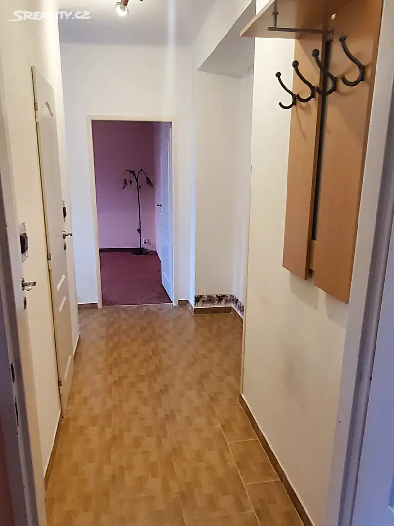 Prodej bytu 2+1 53 m², Sokolovská, Karlovy Vary - Rybáře