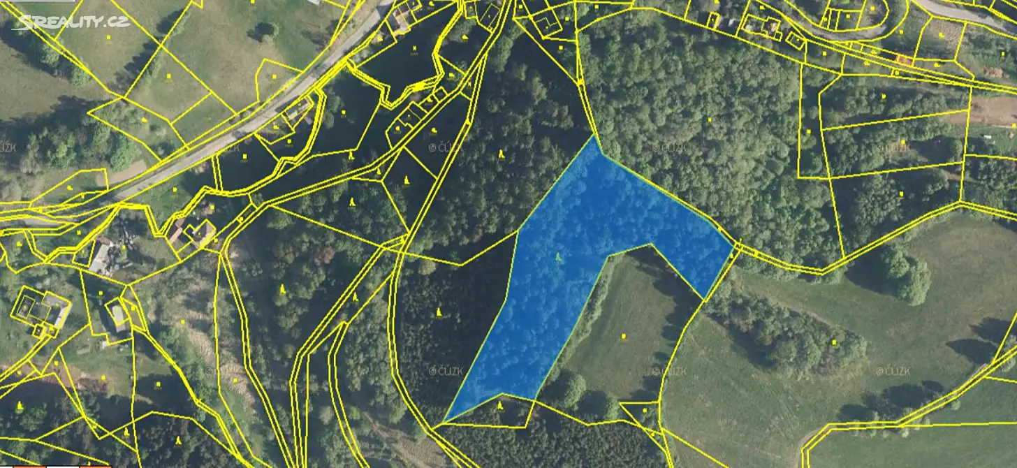 Prodej  lesa 10 215 m², Cotkytle, okres Ústí nad Orlicí