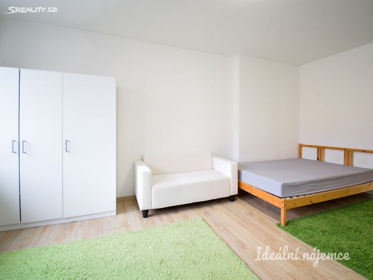 Pronájem bytu 1+1 45 m², Křenová, Brno - Trnitá