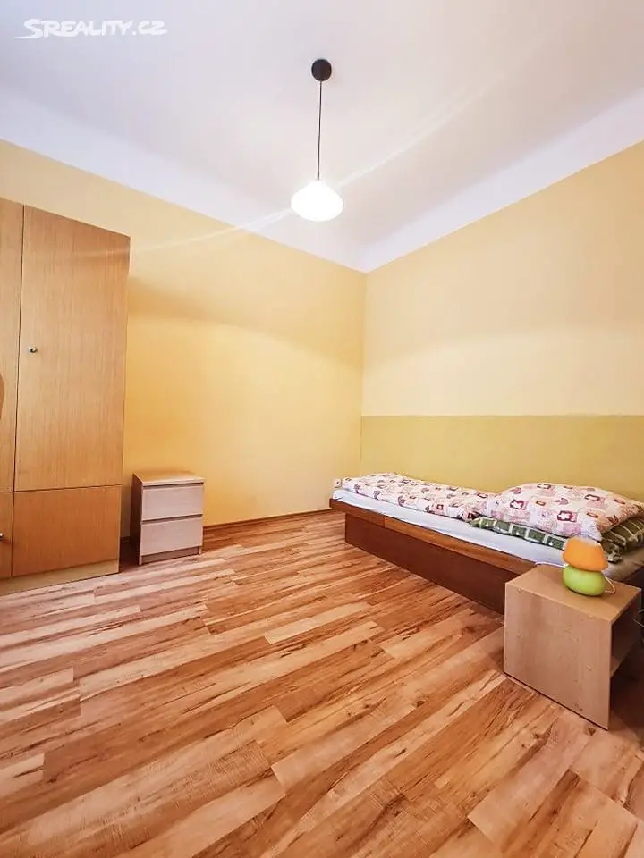 Pronájem bytu 1+kk 32 m², Nerudova, České Budějovice - České Budějovice 3