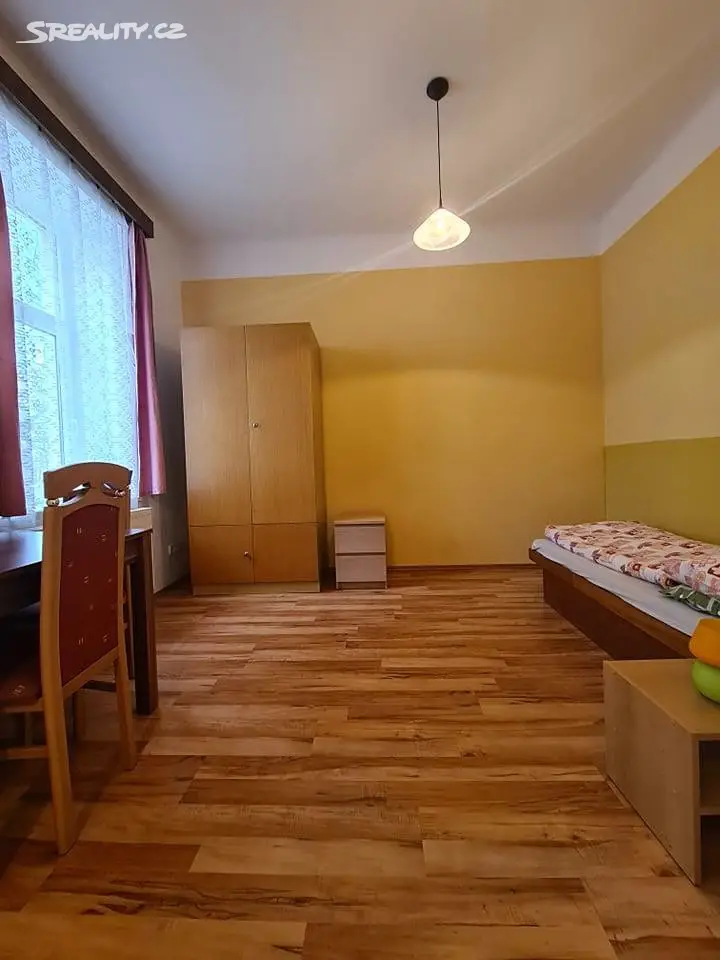 Pronájem bytu 1+kk 32 m², Nerudova, České Budějovice - České Budějovice 3