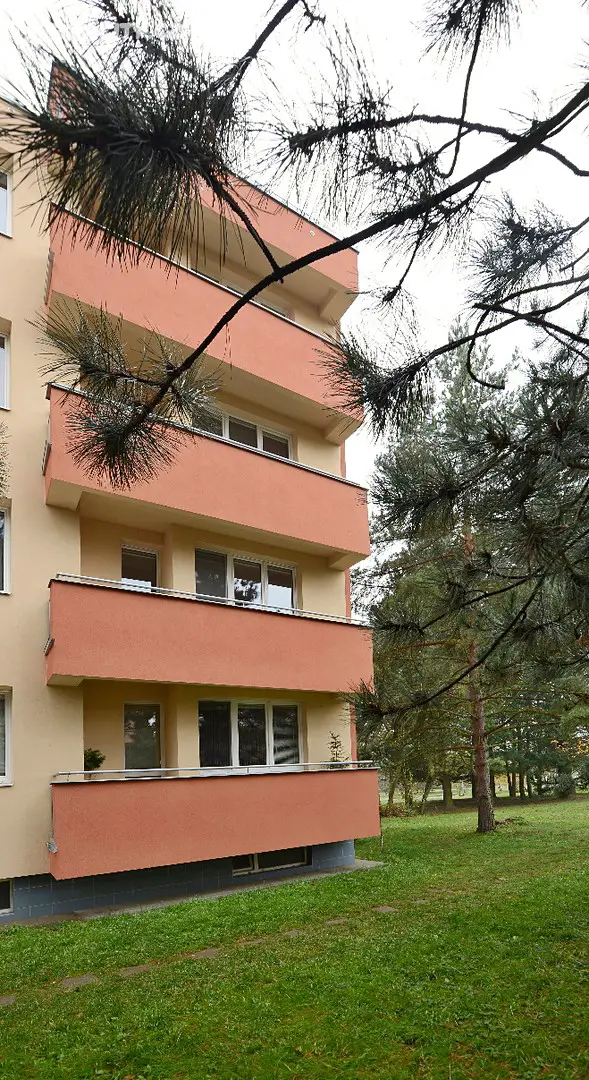 Pronájem bytu 2+1 56 m², Seifertova, Brno - Lesná