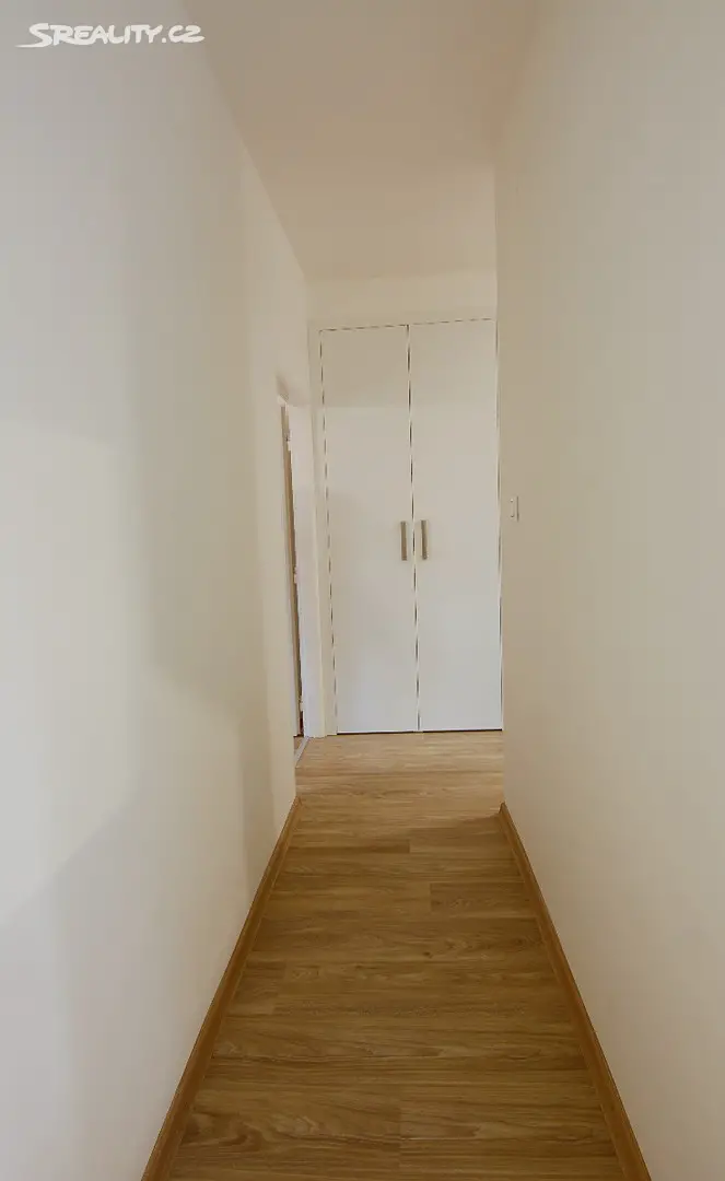 Pronájem bytu 2+1 56 m², Seifertova, Brno - Lesná