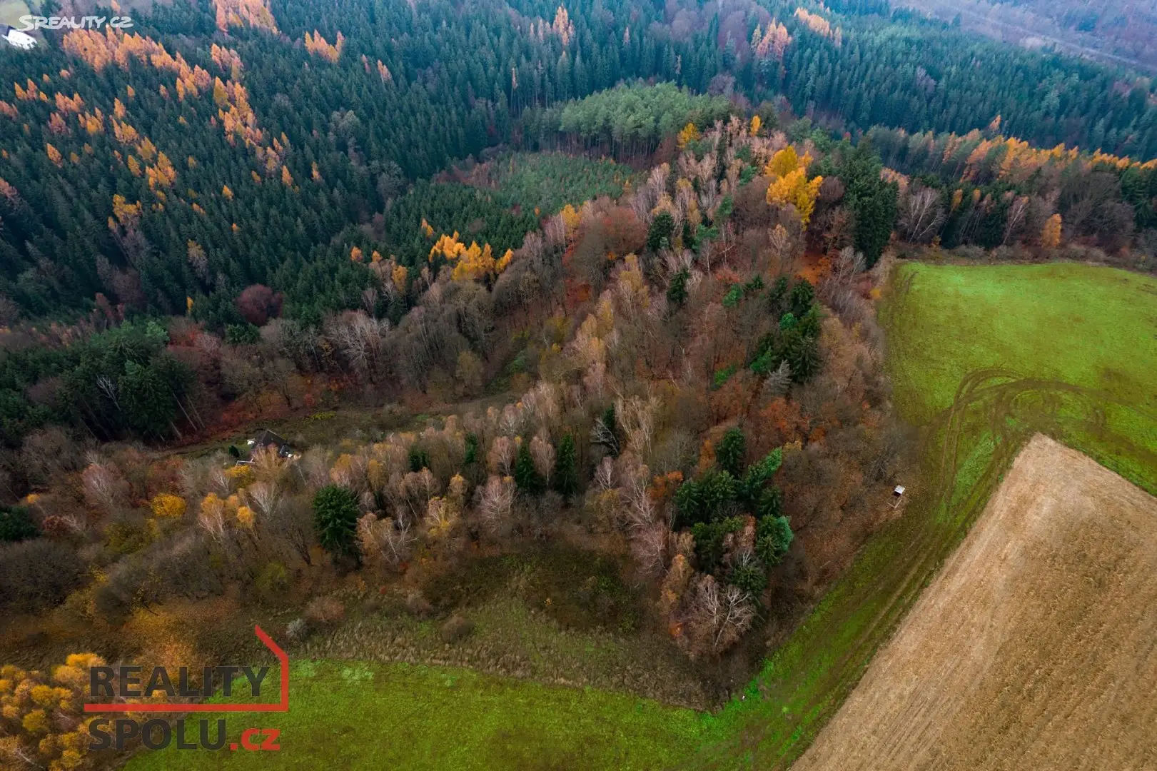 Prodej  lesa 6 957 m², Koberovy - Vrát, okres Jablonec nad Nisou