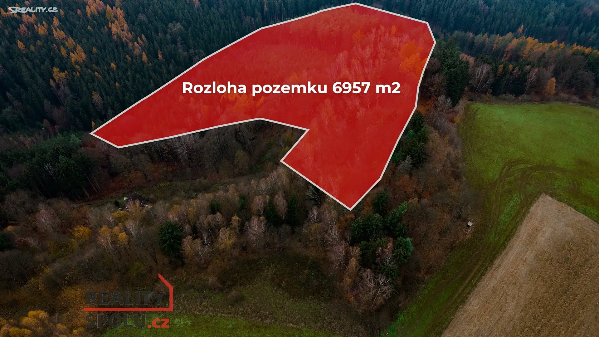 Prodej  lesa 6 957 m², Koberovy - Vrát, okres Jablonec nad Nisou