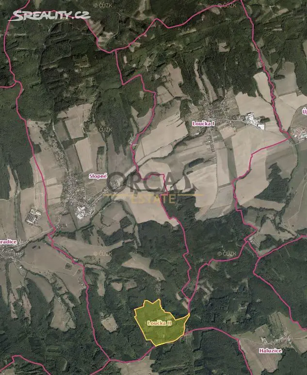 Prodej  lesa 1 155 m², Loučka, okres Zlín